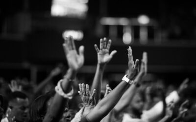 Do Human and Digital Rights Organisations Need a Coalition?