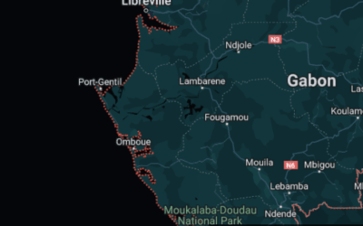 Internet Shutdowns Harm Democracy: Gabon Urged to #KeepItOn