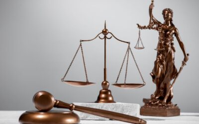 Kenya’s Existing Legal Frameworks on TFGBV: The Constitution