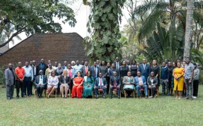 How Digital Access to Environmental Information Is Empowering Kenyans: KICTANet at IDUAI 2025